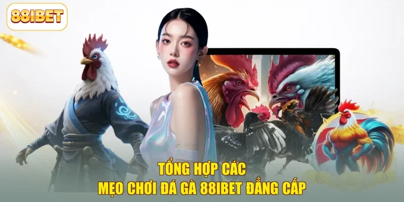 Tổng hợp các mẹo chơi đá gà 88ibet đẳng cấp
